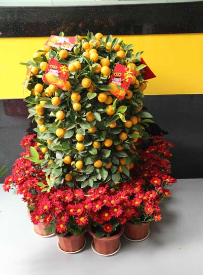 點(diǎn)擊瀏覽下一頁